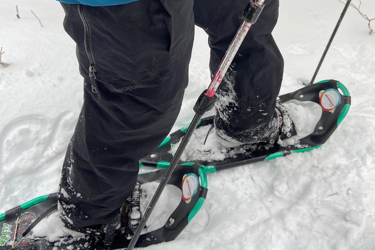 Guided Winter Snowshoe Adventure from Boston