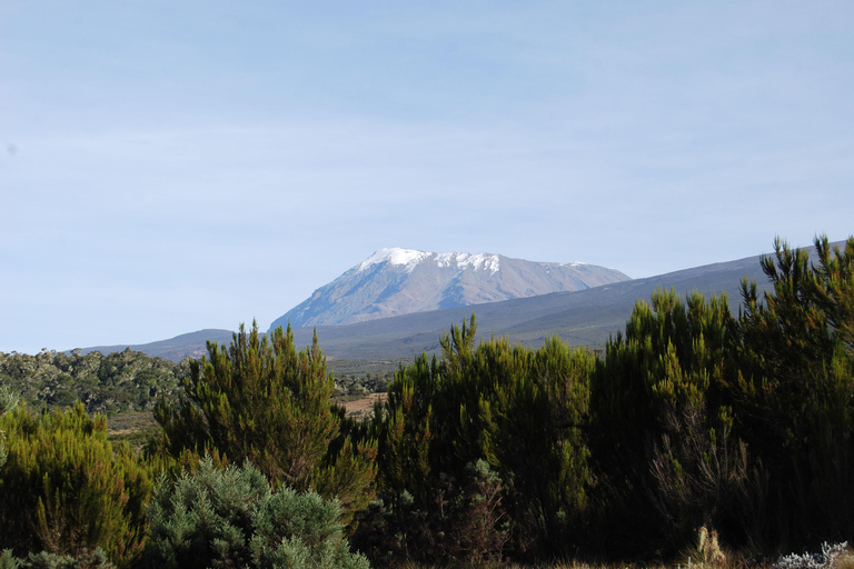 1-Day Kilimanjaro Hike to Mandara Hut