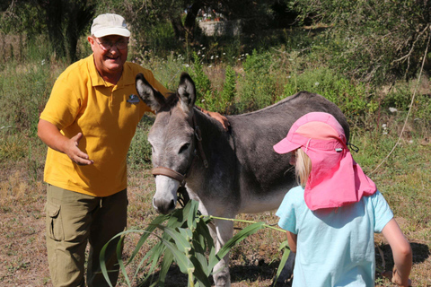 Corfu: Donkey Sanctuary and Farm Tour with Lunch Corfu: Donkey Sanctuary,Horse Riding,Farm Tour with Lunch
