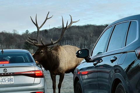 Montreal: Omega Park Private Tour with Pickup & Guide