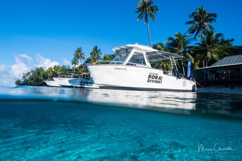 Bateau privé pour votre plongée romantique à Bora Bora
