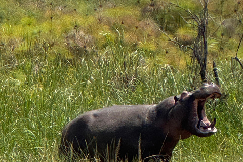 2 Days Akagera Wildlife Safari with Night Game Drive Option 2: Northern Akagera – Karenge Bush Camp