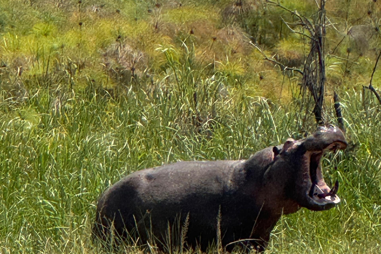 2 Days Akagera Wildlife Safari with Night Game Drive Option 2: Northern Akagera – Karenge Bush Camp