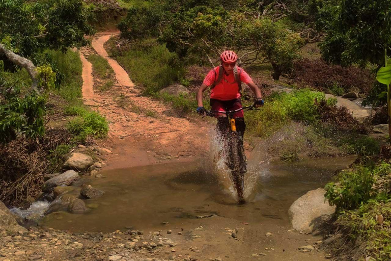 Chiang Mai: 20km Downhill Mountain Biking Challenge Suthep M