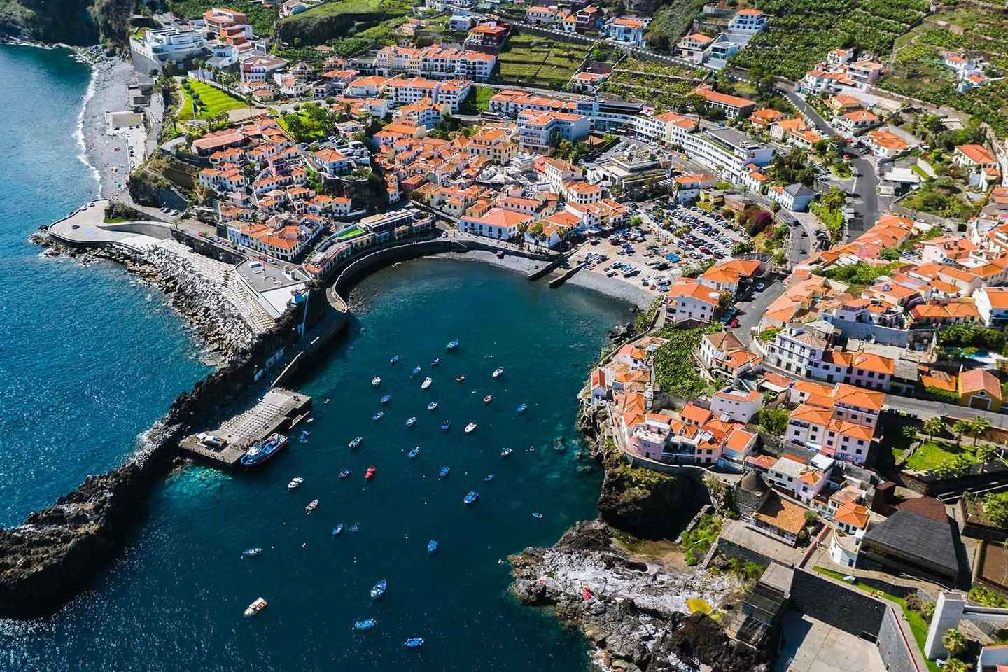 Madeira: Private Tour for Cruise Ship Passengers