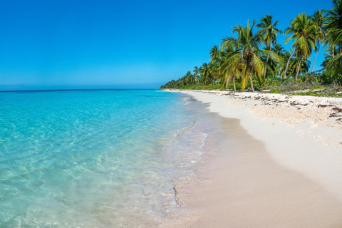 Saona Island Premium Escape: 4 Paradise Beaches and Natural Pool
