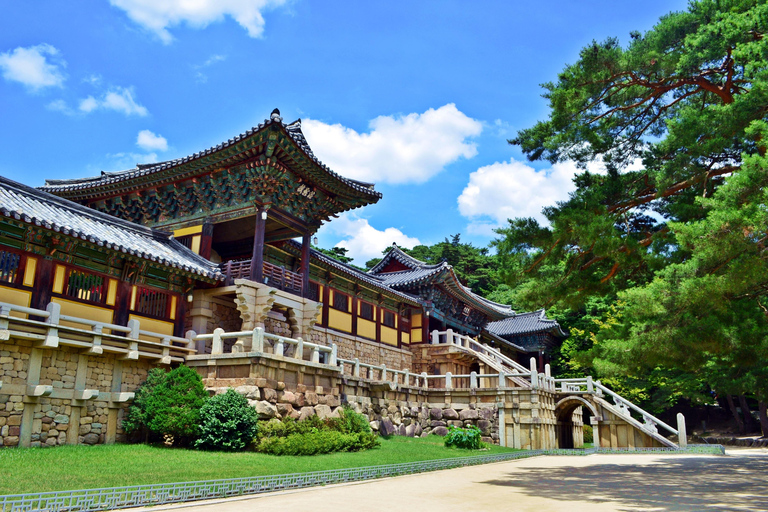 Seoul/Busan: Seamless KTX Gyeongju UNESCO Heritage Tour Busan ↔ Gyeongju (SRT/KTX)