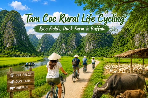 Tam Coc Rural Life Cycling: Rice Fields, Duck Farm & Buffalo - Image 2