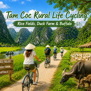 Tam Coc Rural Life Cycling: Rice Fields, Duck Farm & Buffalo