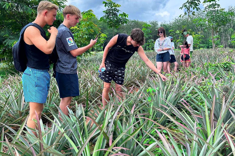 Ao Nang: Crystal Pool Kajak, ATV und Ananas Farm Tour30-minütige ATV-Fahrt