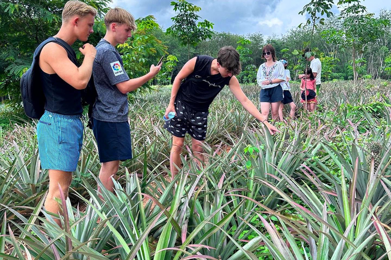 Ao Nang: Crystal Pool kajakken, ATV en ananasboerderij tour1 Uur ATV Rit