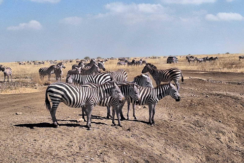 Nairobi : promenade dans le parc national avec prise en charge à l&#039;hôtel