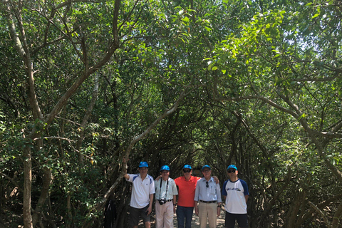 Hue: Tam Giang Lagoon Sunset Tour med fisk- och skaldjursmiddag