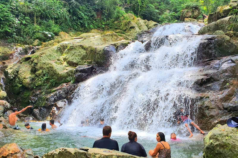 Nadi: Zipline, Waterfalls, and Jungle Safari Tour with Lunch