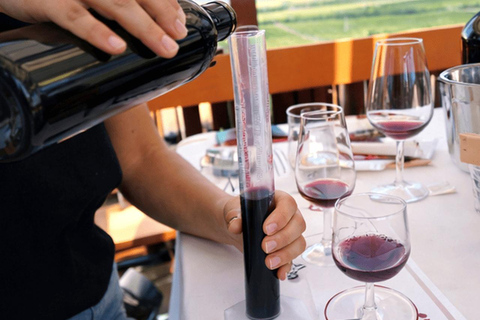 From Plovdiv: Wine Workshop with Blending and Tasting