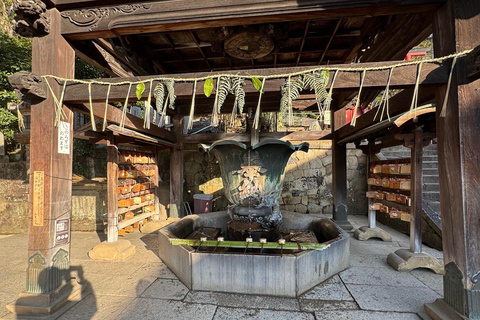 Osaka:Kyoto & Nara & Uji Tour, Todaiji, Fushimi Inari Taisha Nara & Kyoto & Uji Tour | 8:00 AM from Osaka