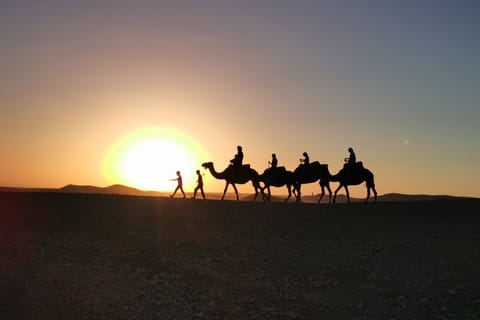 Jantar com show e passeio de camelo ao pôr do sol no deserto de Agafay