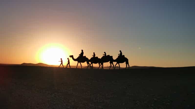 Cena con spettacolo e cavalcata in cammello al tramonto nel deserto di Agafay