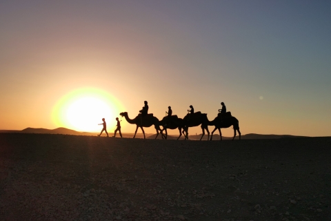 Dîner-spectacle et promenade à dos de chameau au coucher du soleil dans le désert d'Agafay