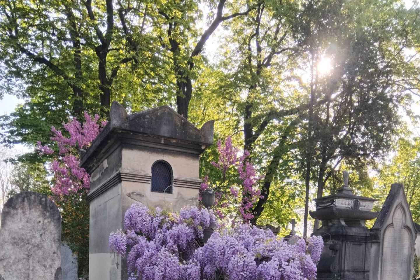 Paris: Customized Pre Lachaise Cemetery Walking Tour - Paris: Customized Père Lachaise Cemetery Walking Tour