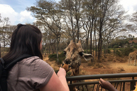 Nairobi: Elefantenwaisenhaus und Giraffenzentrum TagestourElefantenwaisenhaus und Giraffenzentrum Tagestour