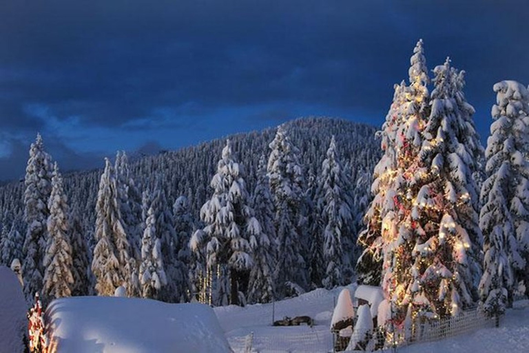 WinterFun at North Shore Mountains-Grouse,Seymour & Cypress