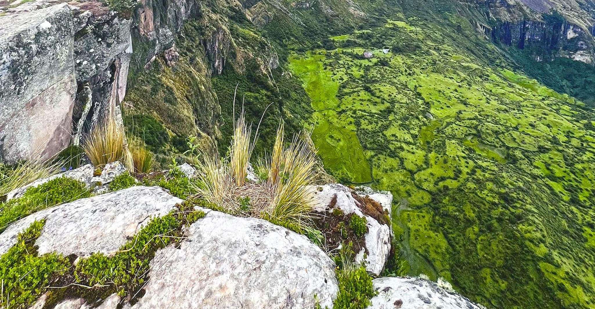 Visit to the Puncupata Abyss - Housity