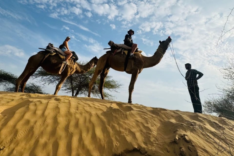Safari en camello por Jodhpur y pernoctación en el desierto