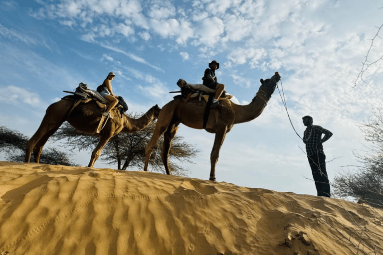 Jodhpur Kamelsafari mit traditionellem Essen