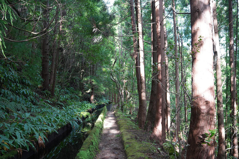 Azoren: wandeltocht São Miguel en Lagoa do Fogo