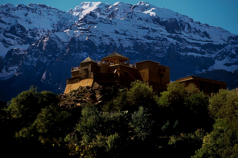 Desde Marrakech: excursión privada de un día a las montañas del Atlas