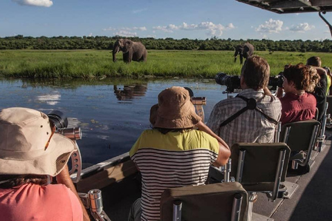 Chobe Safari from Victoria Falls: Game Drive & Cruise