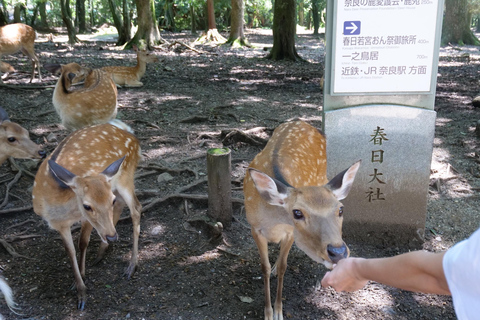 Nara: Halbtägige UNESCO-Wanderung und lokale KulturNara: Halbtagestour zum UNESCO-Erbe und Rundgang durch die lokale Kultur