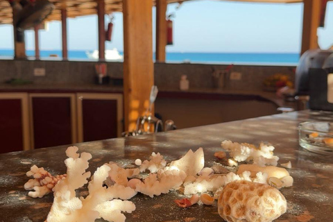 Hurghada: Private Speedboat to Magawish Island 8-hour Private Speedboat With Lunch