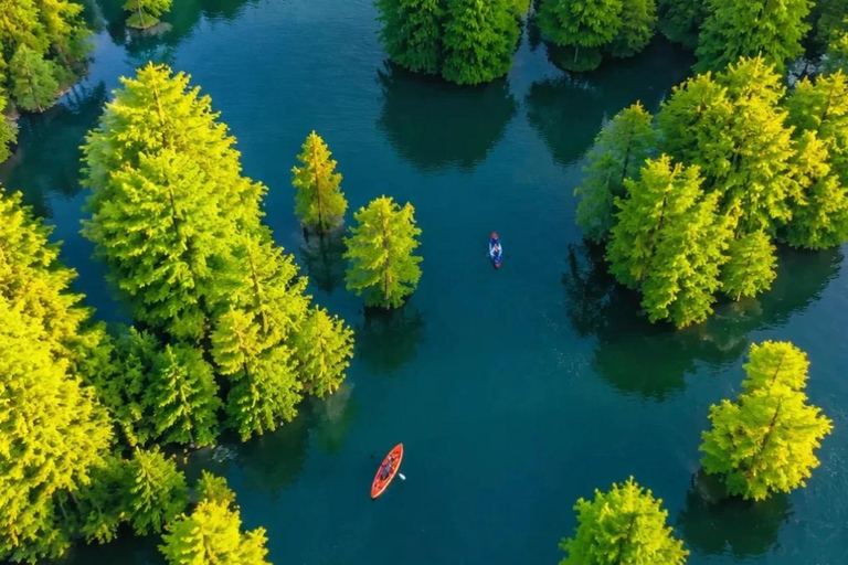 Qingshan Lake: Matcha Lake Sightseeing and Kayaking