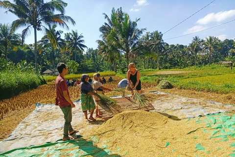 特特巴图：瀑布、香料、梯田、猴子森林特特巴图之旅、香料、瀑布、梯田、猴林