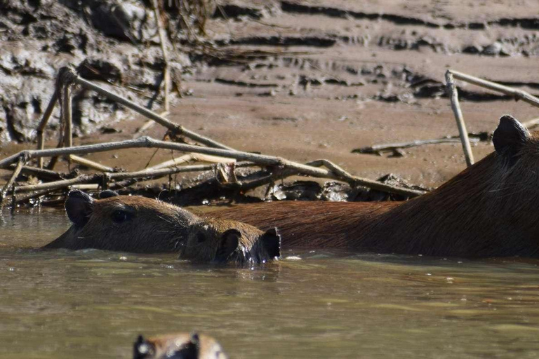 EXCURSION AU COUCHER DU SOLEIL DANS LE TAMBOPATA 3J/2N
