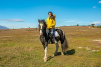 From Bansko, Horse Riding Experience - Housity