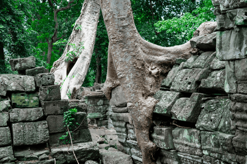 Banteay Chhmar: Journey to Khmer Fortress in the Jungle