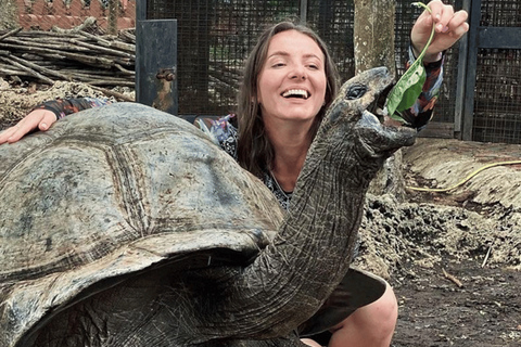 Zanzibar: Private Prison Island Tortoise Site & Stone Town. Private Tour With Meeting Point Pickup (No Entrance Fees)