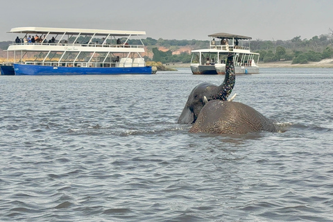 From Livingstone: Luxury Full‑Day Chobe Safari