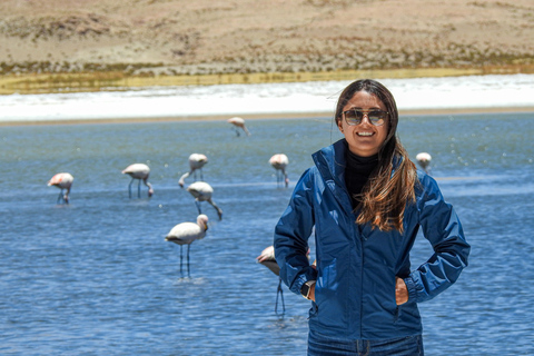 La Paz: 4-Day Uyuni Salt Flats to San Pedro de Atacama ENGLISH-SPEAKING GUIDE