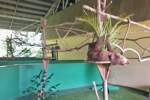 Panamá: Excursión a la Isla de los Monos, el Santuario de los Perezosos y el Lago Gatún