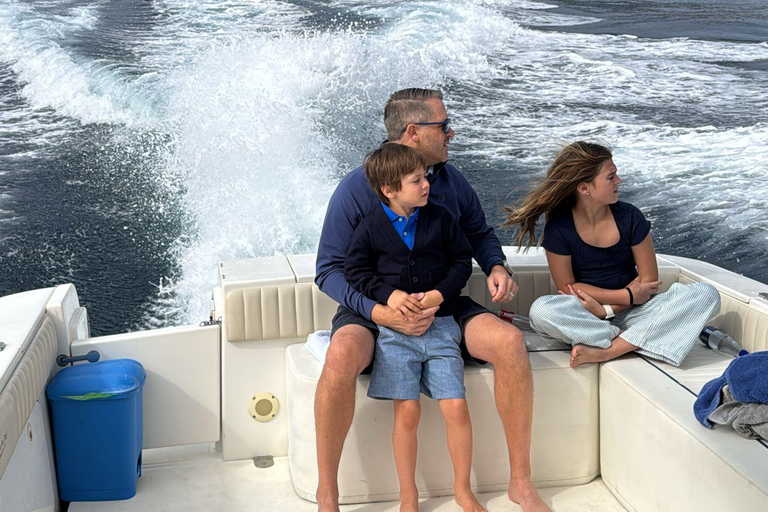 Sorrento: Private Boat Tour with Skipper and Open Bar