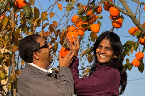 Longevity Secrets of Azerbaijan: Lankaran & Astara tour Private tour