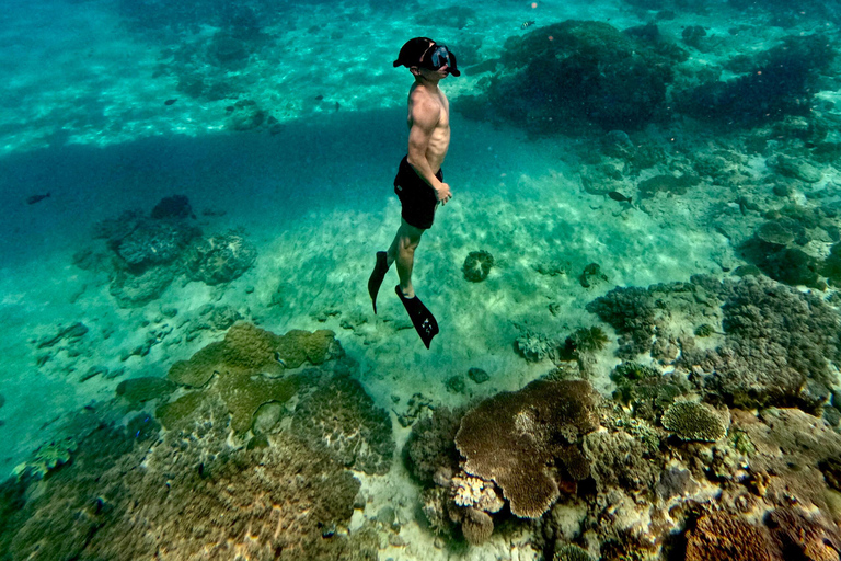 Bali : plongée avec tuba dans deux sites du Blue Lagoon, avec déjeuner et transportSnorkeling à deux sites dans le lagon bleu, rendez-vous au lieu de rendez-vous.