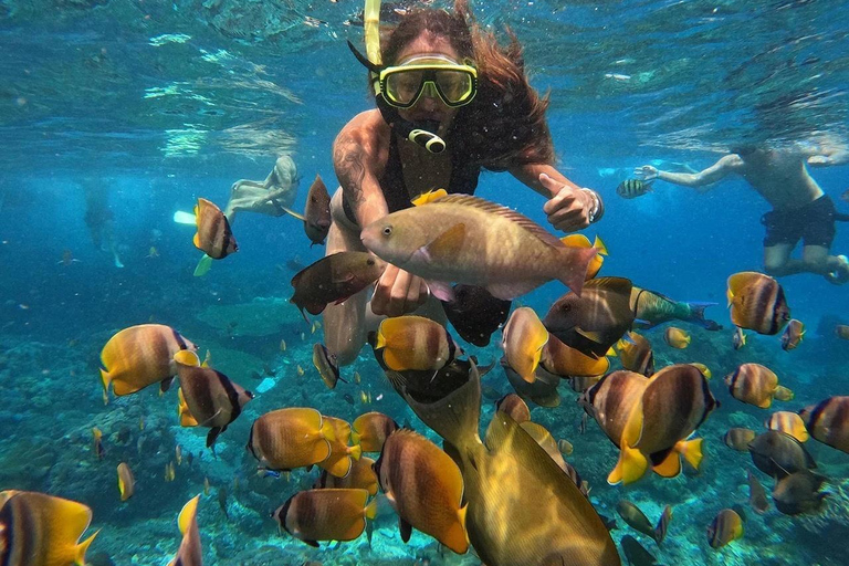 Nusa Penida: Snorkeling Adventure at Manta Point Sharing Boat: Manta Point & Gamat Bay Adventure