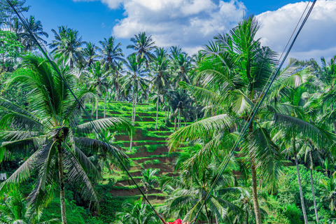 Ubud: Hidden Waterfalls, Rice terrace & Cliffside Dining
