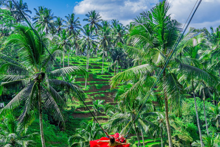 Ubud: Hidden Waterfalls, Rice terrace & Cliffside Dining