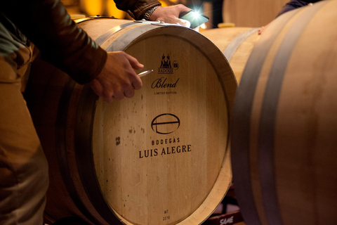 A partir de Bilbau: tour particular a adegas com degustação de vinhos e almoçoEspanhol